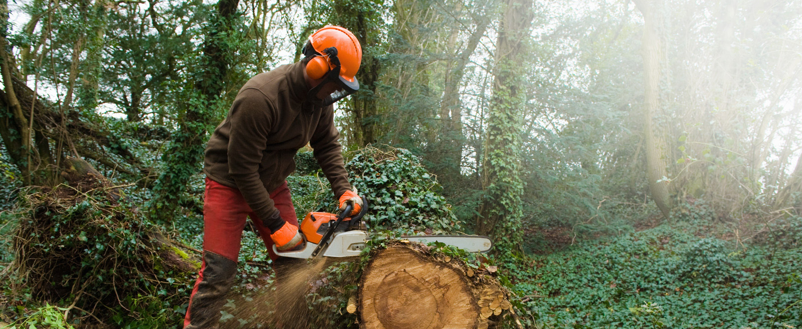 Scheppach -Scheppach 2